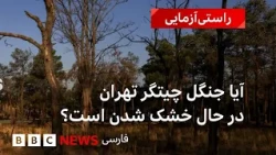 بررسی خشکیدگی درختان چیتگر با تصاویر ماهواره‌ای‌‌