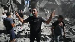 One year after the ceasefire: Suffering in Gaza persists and Israel has not implemented most terms