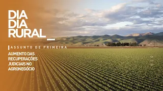 Rise in agribusiness bankruptcy filings