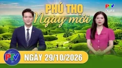 New Day in Phu Tho October 29, 2026 | Tons of spoiled chicken eggs seized
