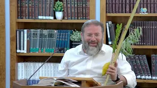 The Spiritual Algorithm of the Seventy Festival Offerings - A Lesson for the Days of Sukkot | Rab...