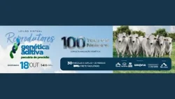 LEILÃO VIRTUAL REPRODUTORES GENÉTICA ADITIVA | 18/10/2026 – 14H