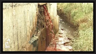 FOUL ODOR BECOMES A NUISANCE FOR RESIDENTS OF VINGUNGUTI WARD