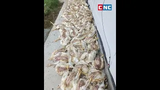 An explosion at a battery processing factory in Kampong Speu province