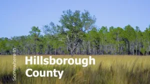 #FindHillsborough - Moriczville Area