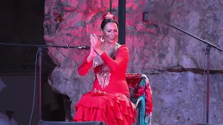 Flamenco u Trogiru 04.09.2026.