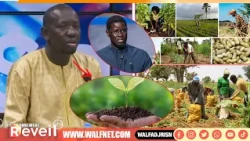 Food Sovereignty and Agroecological Transition: "The State Must Value Agriculture" El Cissé
