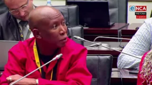 'The EFF rejects your apology' - Malema