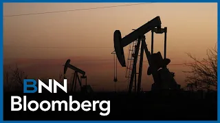 'We expect U.S. oil production to decline': Exner-Pirot