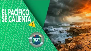 How does the ocean alter the planet's climate? 🌊 Pacific Ocean and the El Niño phenomenon