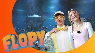 Pamäť ako rybka | Flopy a Fify