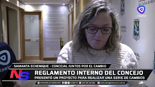Echenique defended the bill proposing changes to the Council's internal regulations