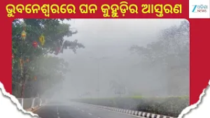 Dense Fog in Bhubaneswar: ଭୁବନେଶ୍ବରରେ ଘନ କୁହୁଡ଼ିର ଆସ୍ତରଣ, ଦେଖାଯାଉନି ରାସ୍ତାଘାଟ, ଗାଡ଼ି ଚଳାଚଳ ପ୍ରଭାବିତ