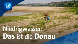 Donau-Niedrigwasser: Energiekrise und Millionenverluste