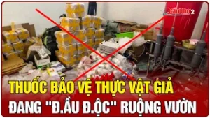 Thuốc bảo vệ thực vật giả đang "đ.ầu đ.ộc" ruộng vườn | Cần Thơ