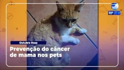 Breast cancer in pets