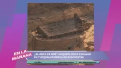 Noah's Ark? Archaeologists excavate in Turkey in search of answers | In The Morning