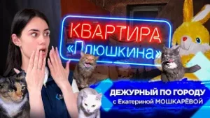 Квартира Плюшкина | ДПГ. Неделя