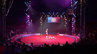 Chamber approves bill recognizing traditional Chilean circus