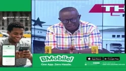 Andy Appiah-Kubi Weighs In on Emelia Agbenyo’s EC Appointment