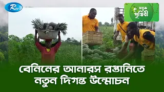 বেনিনের আনারস রপ্তানিতে নতুন দিগন্ত উন্মোচন  | Sobuj Prithibe | Rtv