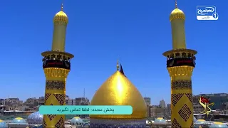اشک‌های زائر امام رضا علیه السلام برای کربلا؛ نجوای دلشکستگان در پخش زنده کربلا