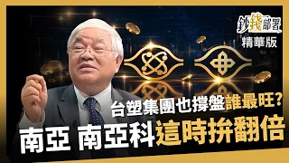 【精華】台塑集團哪檔最旺？南亞拚400、南亞科挑戰千金 這時有望翻倍《鈔錢部署》盧燕俐 ft.杜金龍 20260920