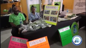 Национальный фонд охраны природы Сент-Люсии предоставляет местным сообществам субсидии на повышен...