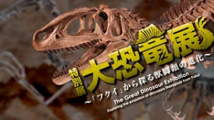 特別展 大恐竜展 ～「フクイ」から探る獣脚類の進化～　2026年4月24日（金）～6月28日（日）　会場：福岡市博物館