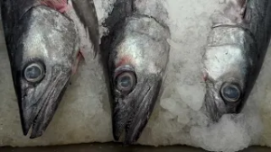 Comerciantes de pescado y mariscos reportan incremento en ventas por Cuaresma