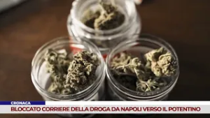 CRONACA. BLOCCATO CORRIERE DELLA DROGA DA NAPOLI VERSO IL POTENTINO