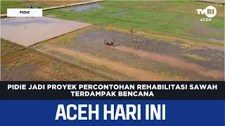 Pidie Selected as Pilot Project for Disaster-Affected Rice Field Rehabilitation | Aceh News Today
