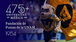 475+ UNAM: Fundación de Pumas de la UNAM. Cápsula 14