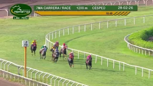 Hipódromo Monterrico - 7ma Carrera 28 Febrero 26