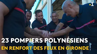 Wildfires in France: 23 Polynesian Firefighters Sent as Reinforcements
