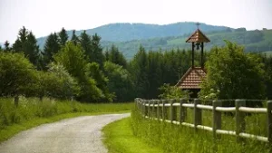 TVS: Z Púchova do Uherského Hradiště přes Bílé Karpaty - Žítková