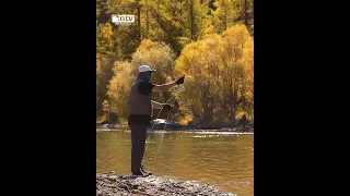 “🍂Навчис унахын өмнө...” зураглал