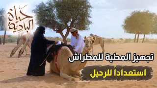 سحر الصحراء: تفاصيل السفر مع الإبل صباحاً ومساءً