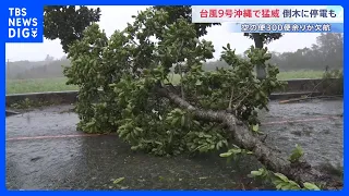 【台風9号】沖縄で猛威 宮古島で最大瞬間風速42.7m　停電や倒木の被害も　一方で列島各地は危険な暑さに 福岡・太宰府市では今年全国で最も暑い39.3℃観測｜TBS NEWS DIG