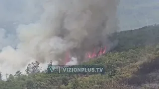 Përballje me flakët në veri e jug, situatë e vështirë në fshatrat e Pukës. Shuhen vatrat në Dukat