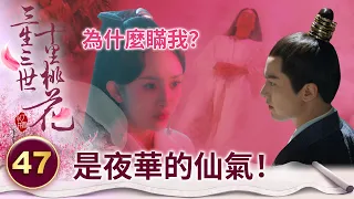 養護師父的仙氣不是折顏的！白淺用追魂術一探才發現端倪【三生三世十里桃花】精華 EP47-2 楊冪、趙又廷、迪麗熱巴、高偉光、張智堯 @ctvdrama_classic