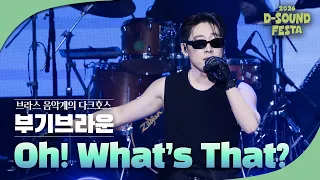 브라스 음악계의 신예, 부기브라운 'Oh! What’s That?' [2026 디사운드 페스타]