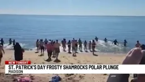 Polar Plunge in Madison raises money for New Haven St. Patrick's Day Parade
