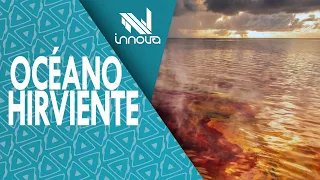 El Niño Phenomenon || Climate Crisis and Global Warming