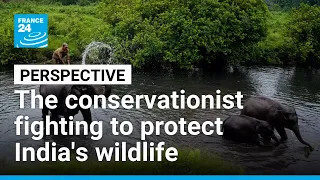 'My childhood passion is now a lifetime commitment': Wildlife conservationist Krithi Karanth