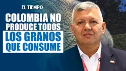 National Meeting for the Orinoquía: How to recover food sovereignty? | EL TIEMPO