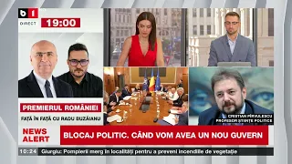 Cristian PÂRVULESCU, prof  de științe polit: criza politică este veche/N.  Dan trebuie să negocieze