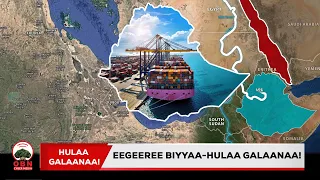 Dogogorri seenaa dhalootaaf idaa ta'ee darbe maali?