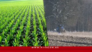 Niže cijene, a manje njiva pod sjetvom, poljoprivrednici otkrivaju zašto odustaju - 19.02.2026.