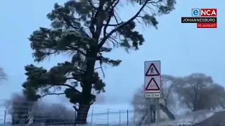 Freezing temperatures expected